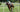Red Light Therapy for Horse Riders and Pro Jockeys: Managing Lower Back Pain and Hip Stiffness