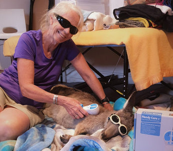 Handy Pulse Laser Used on Australian Bush Fire Victims