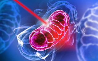 How Does Low-Level Laser Therapy (LLLT) Work?