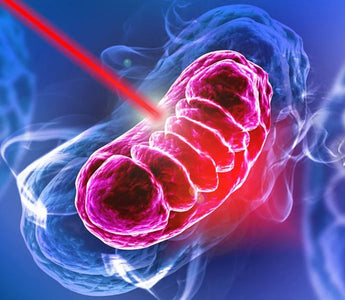 How Does Low-Level Laser Therapy (LLLT) Work?