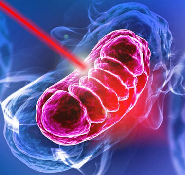 How Does Low-Level Laser Therapy (LLLT) Work?