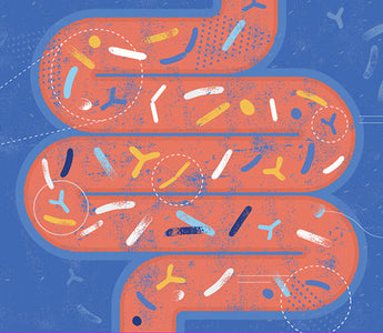 The Ultimate Gut Health Guide: Microbiome Basics, Probiotics, Prebiotics & Laser Therapy