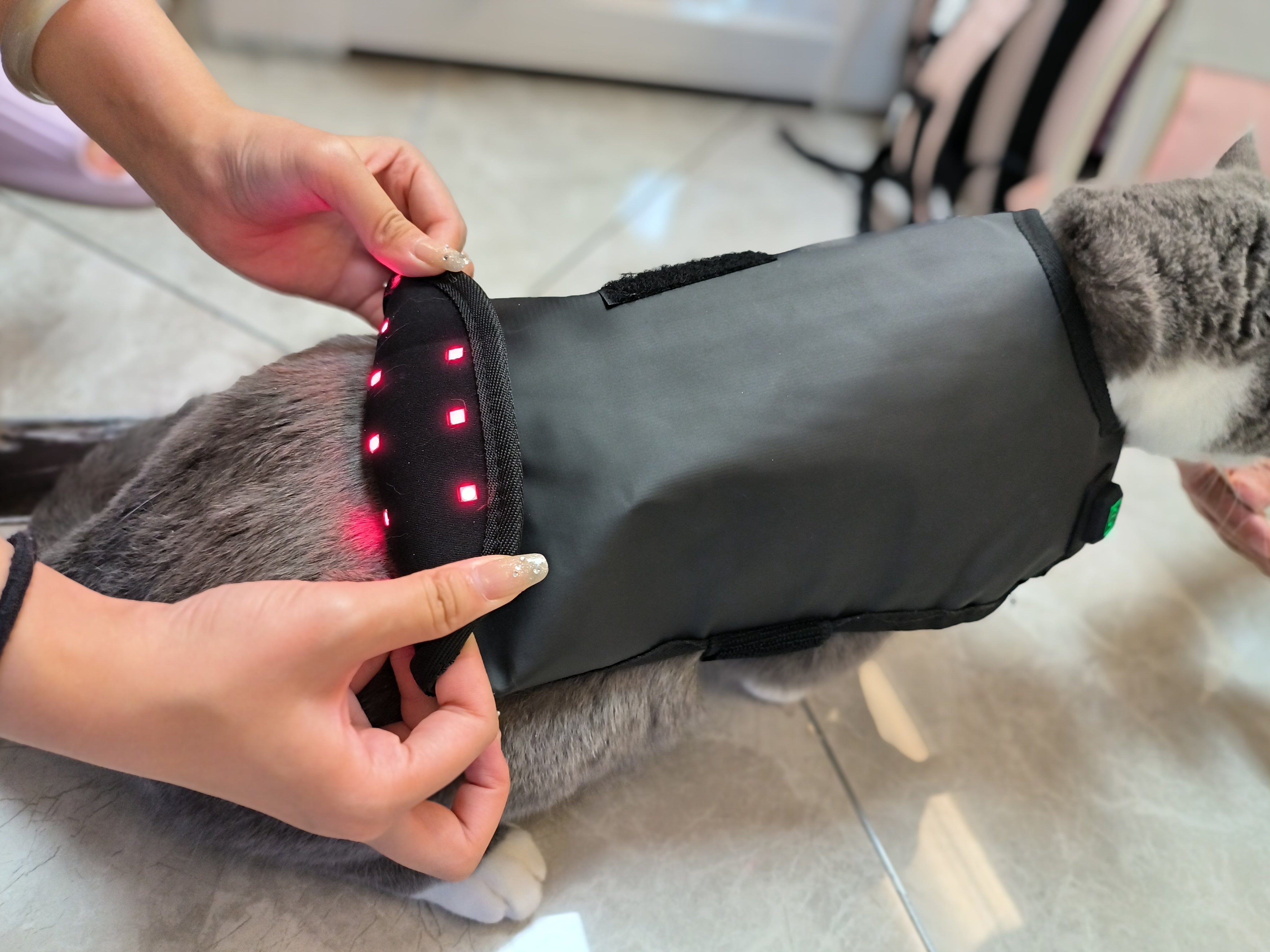 Pet Red Light and Infrared Light Therapy LED Jacket