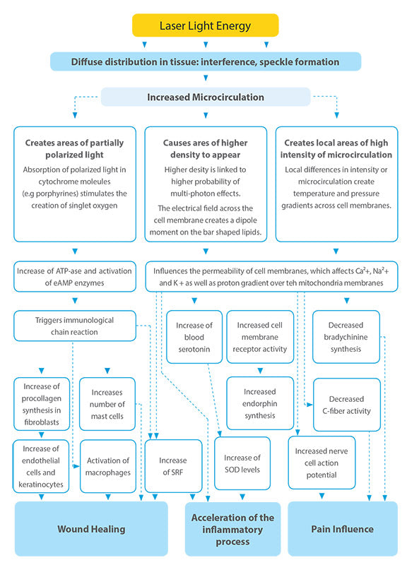 Laser light energy diagram showing how LLLT works